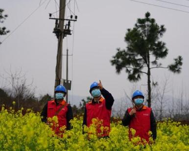 国网江西电力公司全力保障春季农业生产