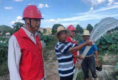 湖南茶陵：“电小二”为千亩莲田接上灌溉电