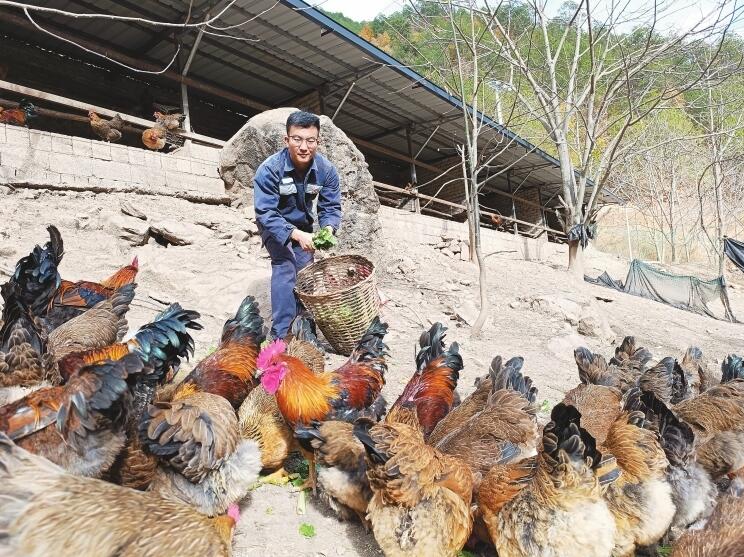 驻村第一书记寸城钢：扎根雪域高原 情暖傈乡大地