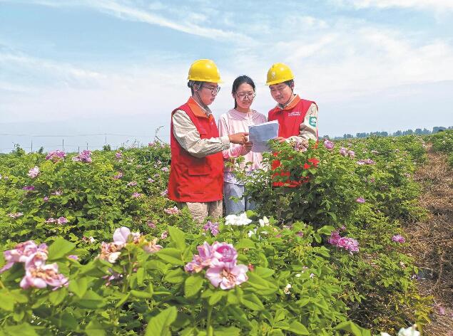 江苏省启东市“一村一制” 电力服务精准便民