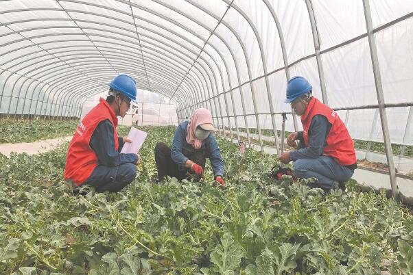 蔬菜基地用电增加 上门巡检消除隐患