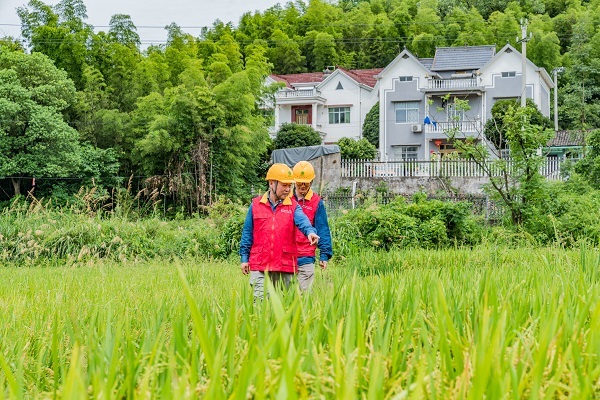 国网衢州供电公司：电力“及时雨” 助农保丰收