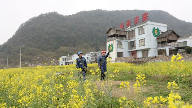 贵州贞丰供电局优质服务助力智慧农业春耕备耕