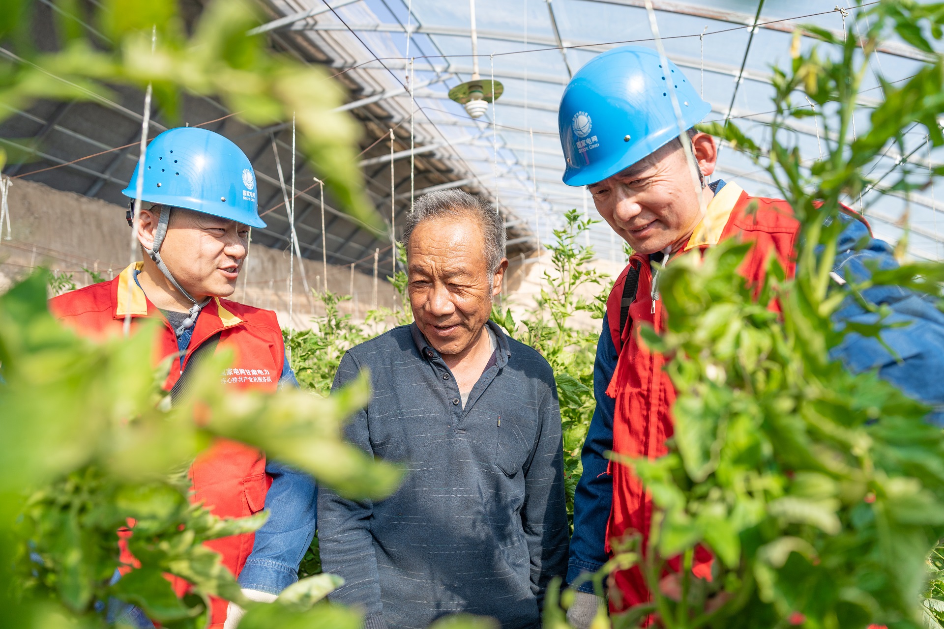 国网榆中县供电公司：党建赋能强保障 农业生产电力足